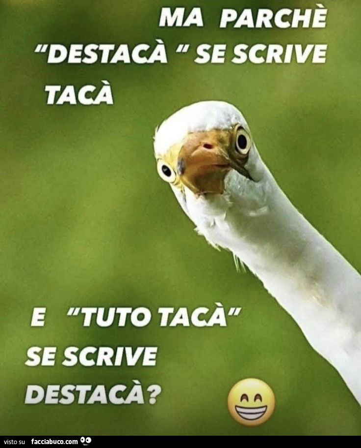 Vaccata