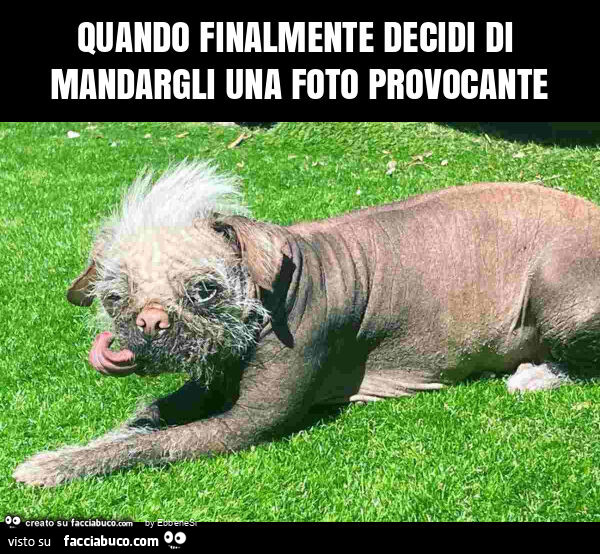 Quando finalmente decidi di mandargli una foto provocante