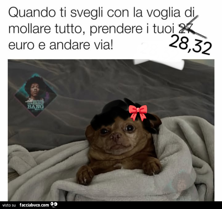 Vaccata