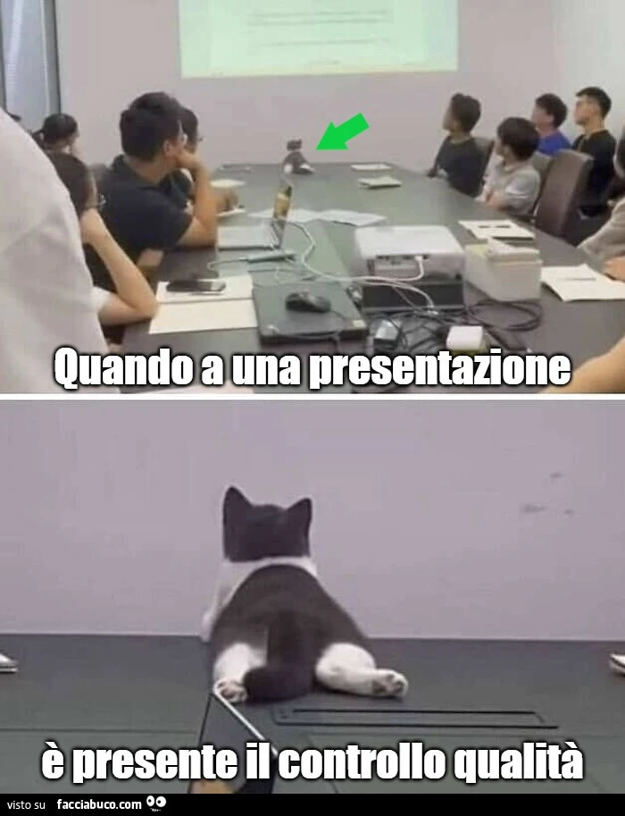 Vaccata