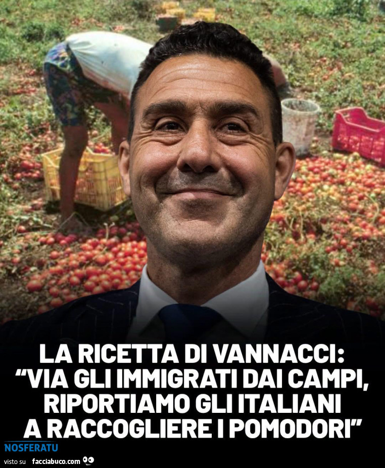 La ricetta di Vannacci
