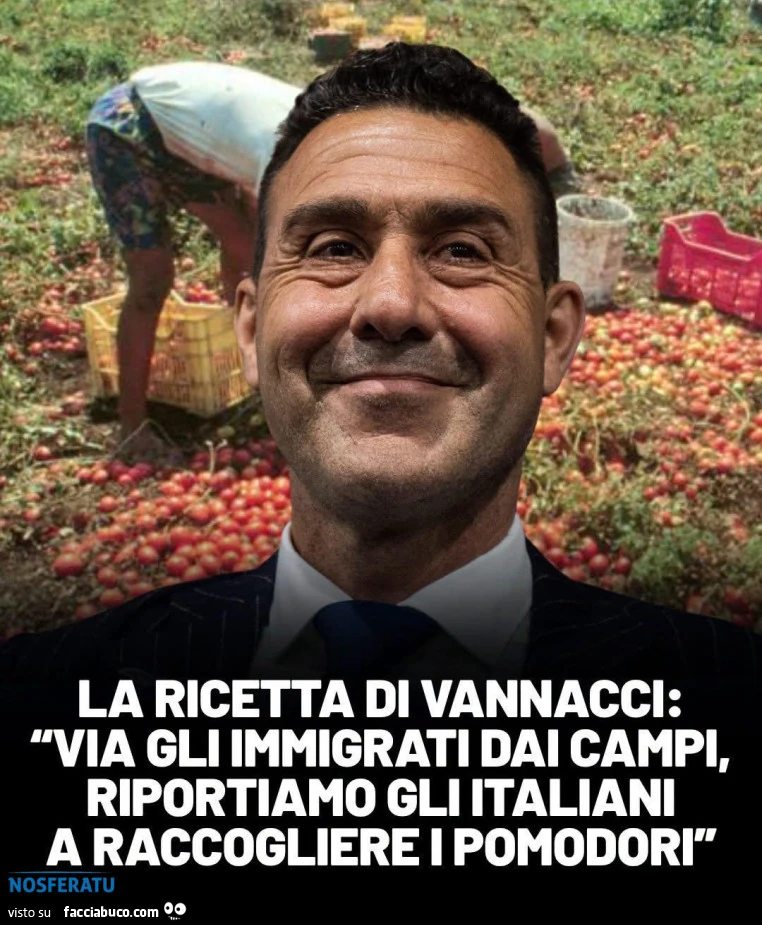 La ricetta di Vannacci