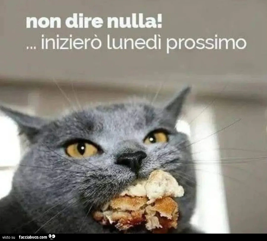 Dieta