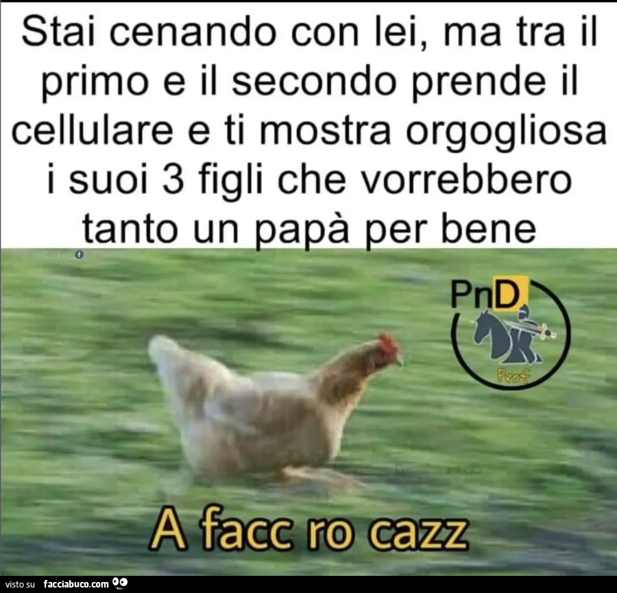 Vaccata
