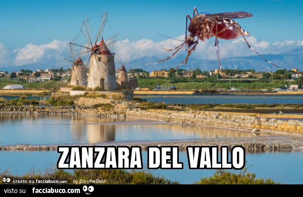 Zanzara del vallo