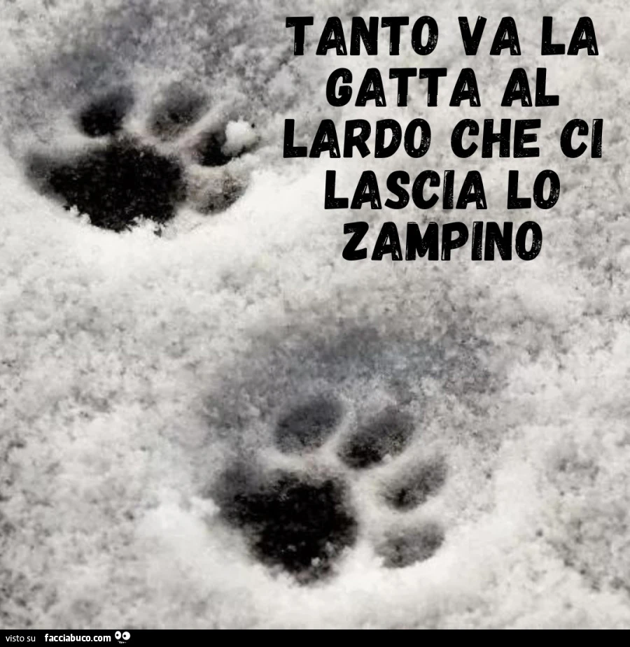 Vaccata