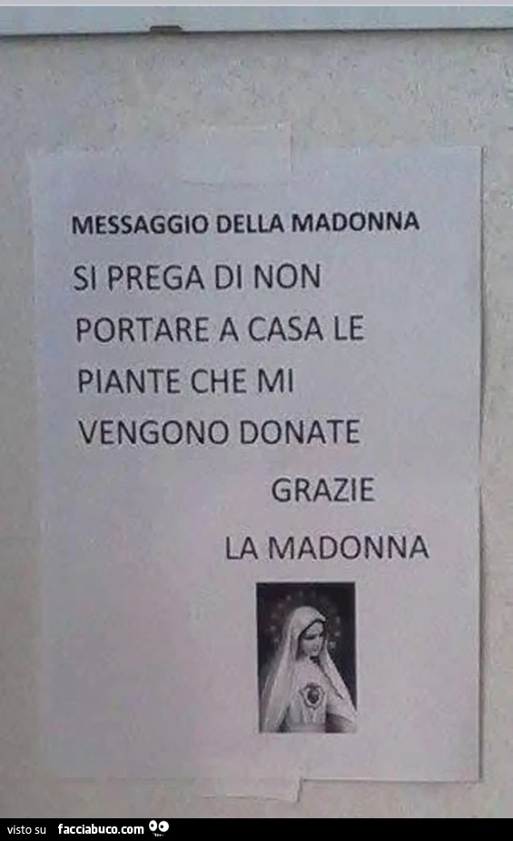 Messaggio della Madonna si prega di non portare a casa le piante che mi vengono donate grazie