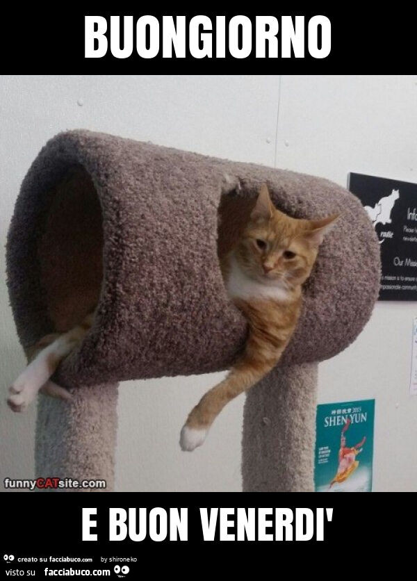 Buongiorno e buon venerdì