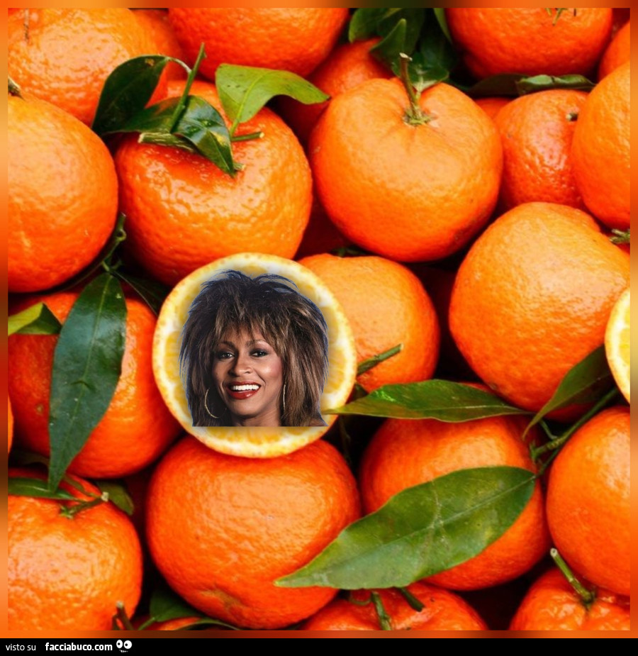 Tina turne