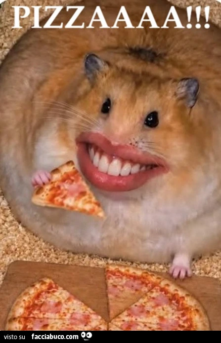 Pizza