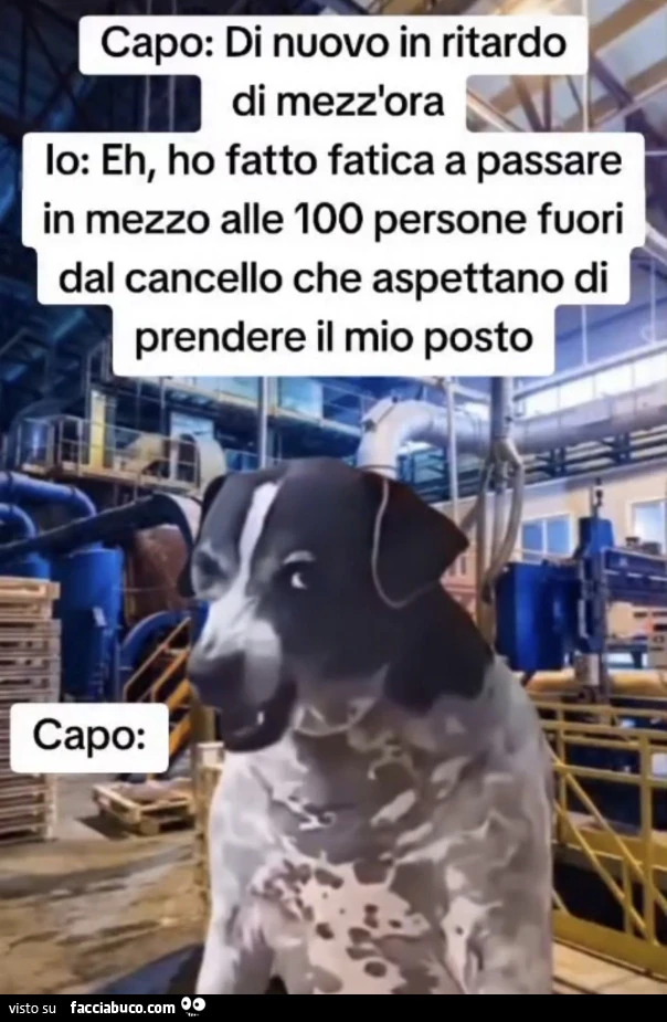 Vaccata