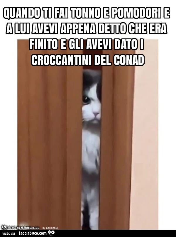 Quando ti fai tonno e pomodori e a lui avevi appena detto che era finito e gli avevi dato i croccantini del conad