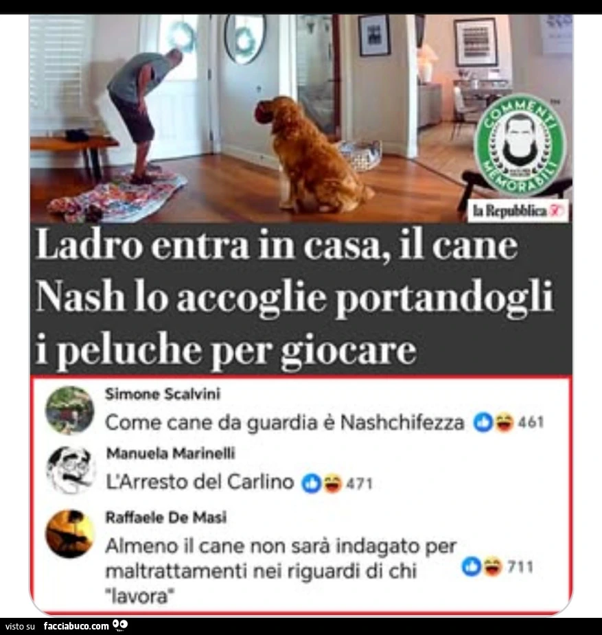 Vaccata