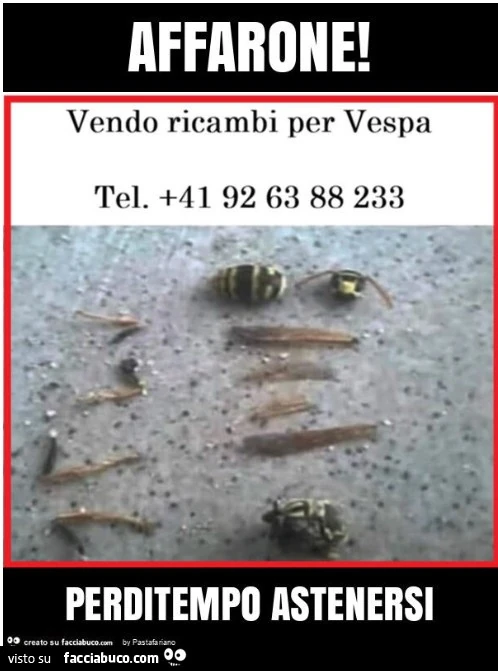 Vaccata