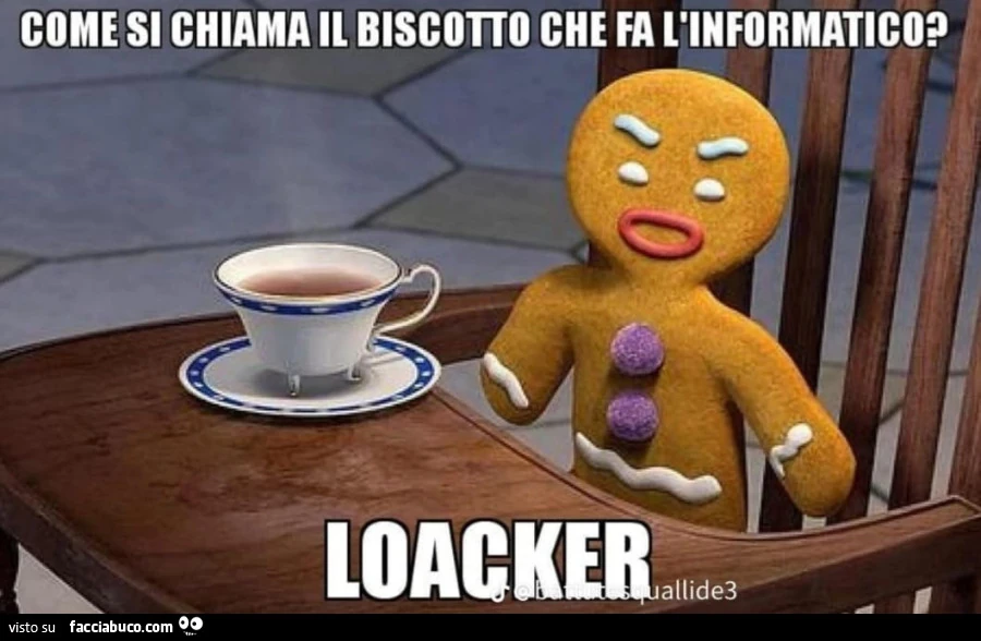 Vaccata