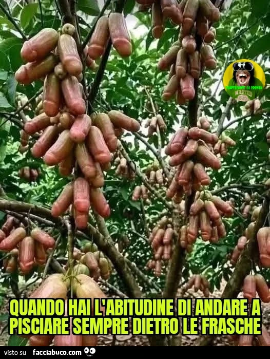Quando hai l'abitudine di andare a pisciare sempre dietro le frasche