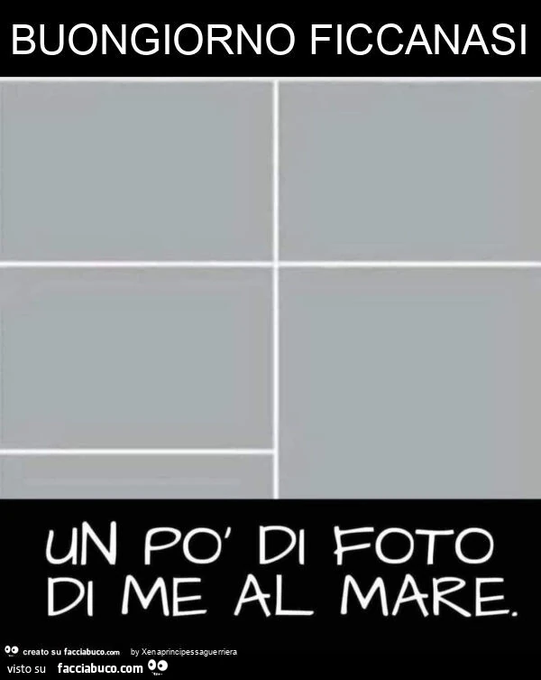 Buongiorno ficcanasi