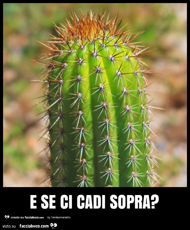 E se ci cadi sopra?
