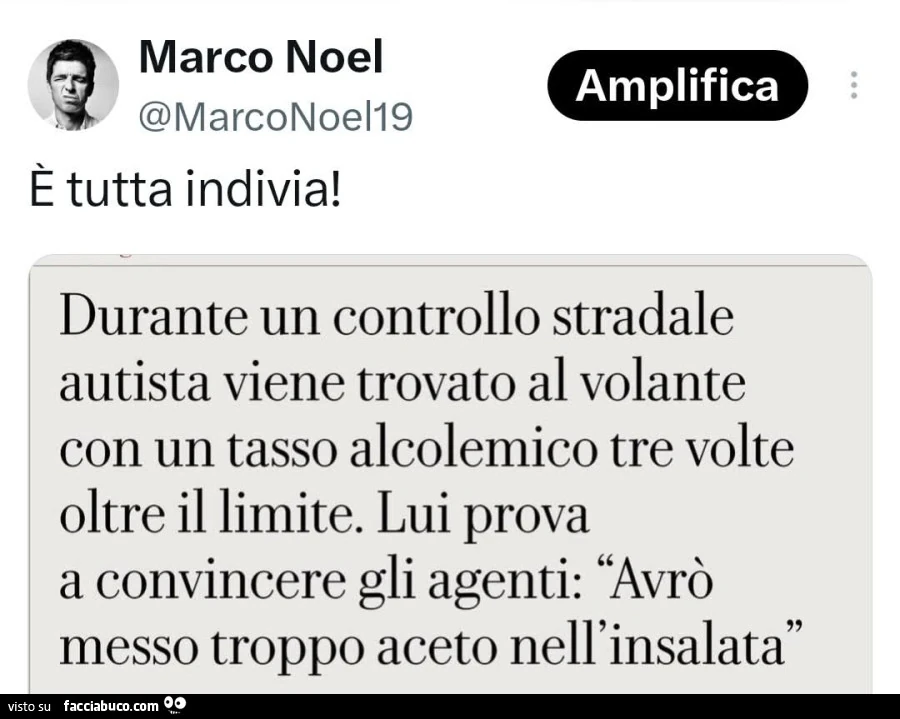 ร tutta indivia! Durante un controllo stradale autista viene trovato al volante con un tasso alcolemico tre volte oltre il limite. Lui prova a convincere gli agenti: avrรฒ messo troppo aceto nell'insalata