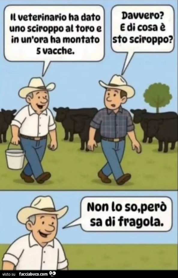 Vaccata
