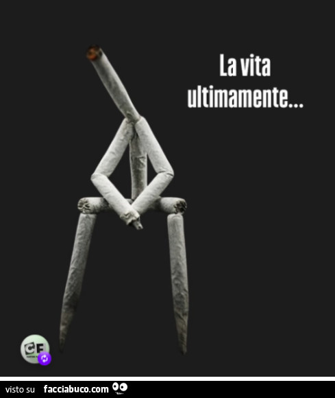 La vita ultimamente