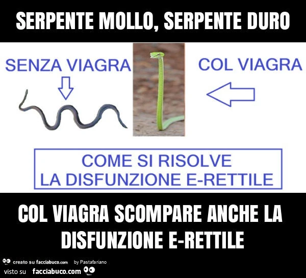 Serpente mollo, serpente duro col viagra scompare anche la disfunzione e-rettile