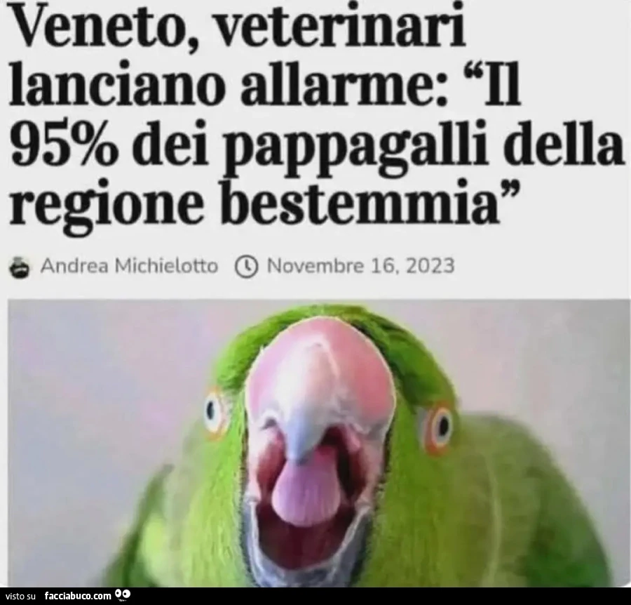 In Veneto