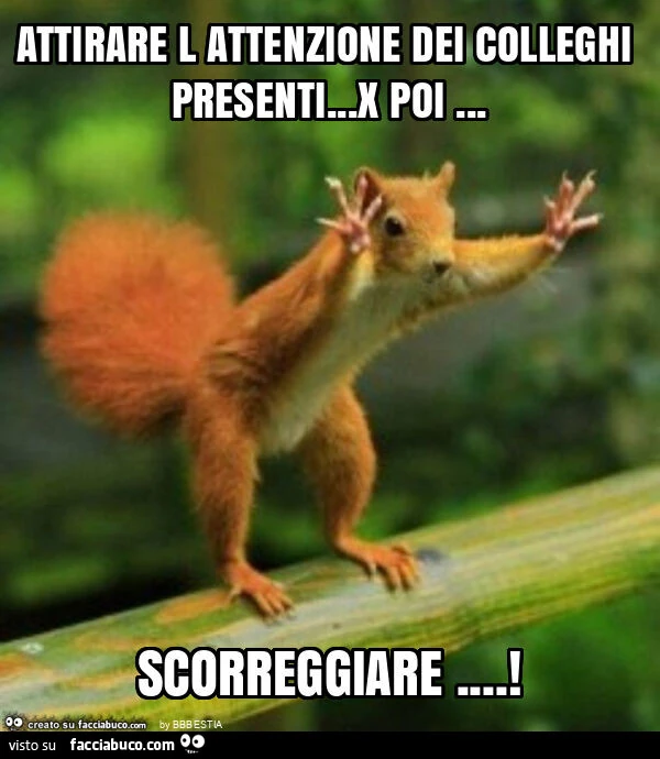 Attirare l attenzione dei colleghi presenti… x poi… scorreggiare