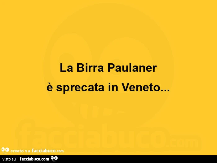 La birra paulaner è sprecata in veneto