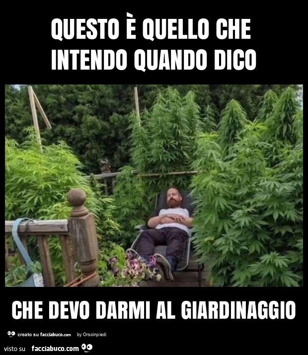 Questo è quello che intendo quando dico che devo darmi al giardinaggio