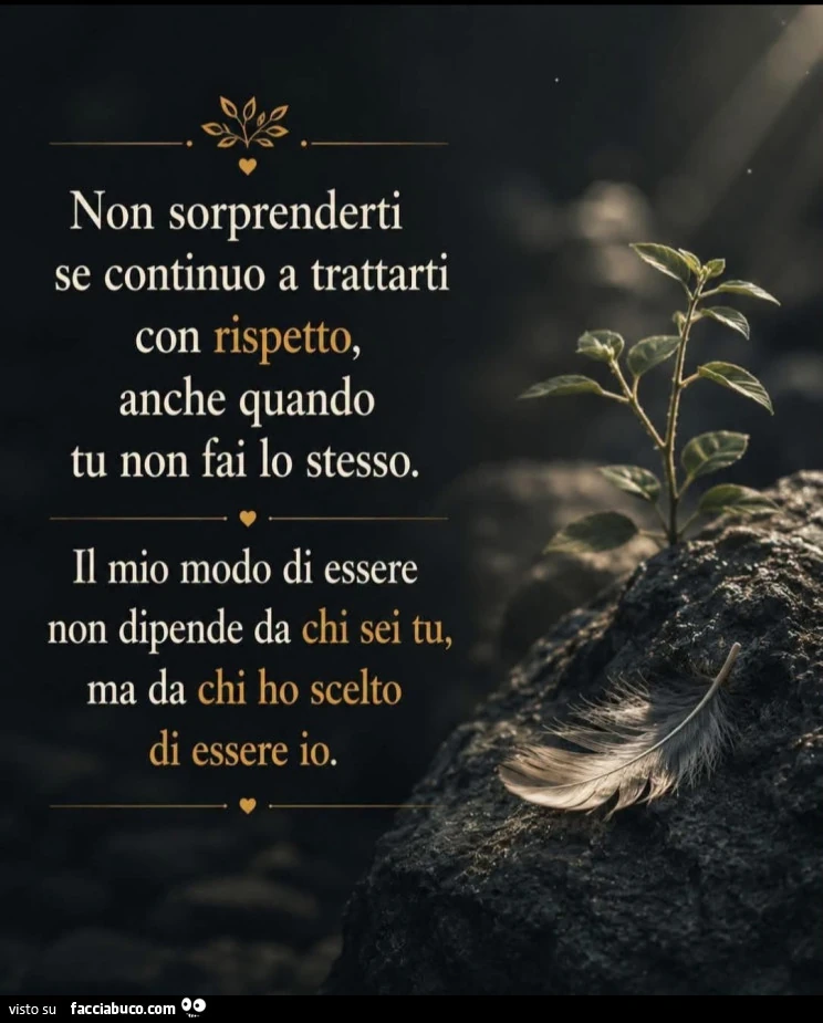 Quando decidi di rispettare gli altri anche se loro si comportano male