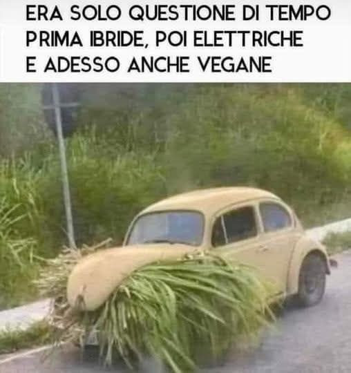 Vaccata