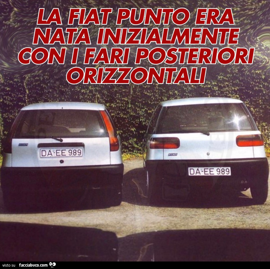Vaccata