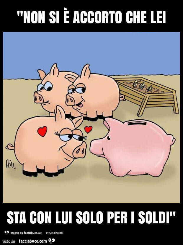 "non si è accorto che lei sta con lui solo per i soldi"