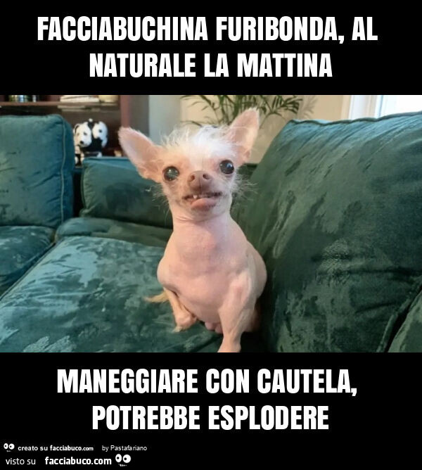 Facciabuchina furibonda, al naturale la mattina maneggiare con cautela, potrebbe esplodere