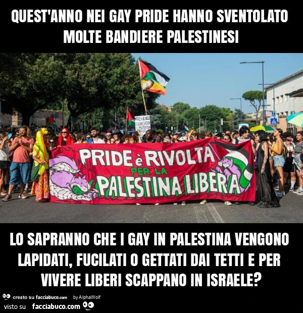 Quest'anno nei gay pride hanno sventolato molte bandiere palestinesi lo sapranno che i gay in palestina vengono lapidati, fucilati o gettati dai tetti e per vivere liberi scappano in israele?