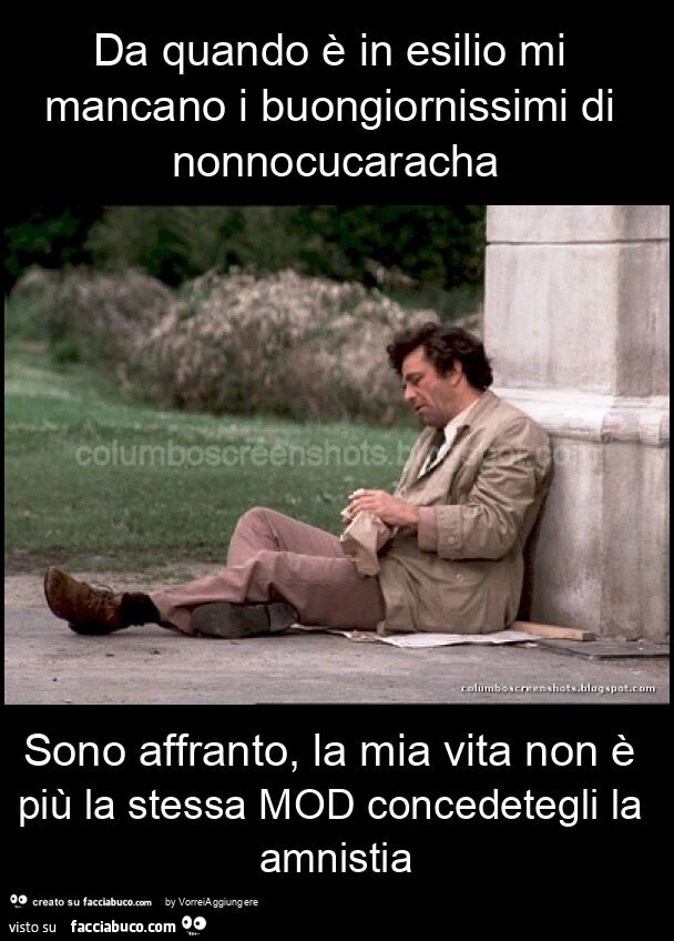 Da quando è in esilio mi mancano i buongiornissimi di nonnocucaracha sono affranto, la mia vita non è più la stessa mod concedetegli la amnistia