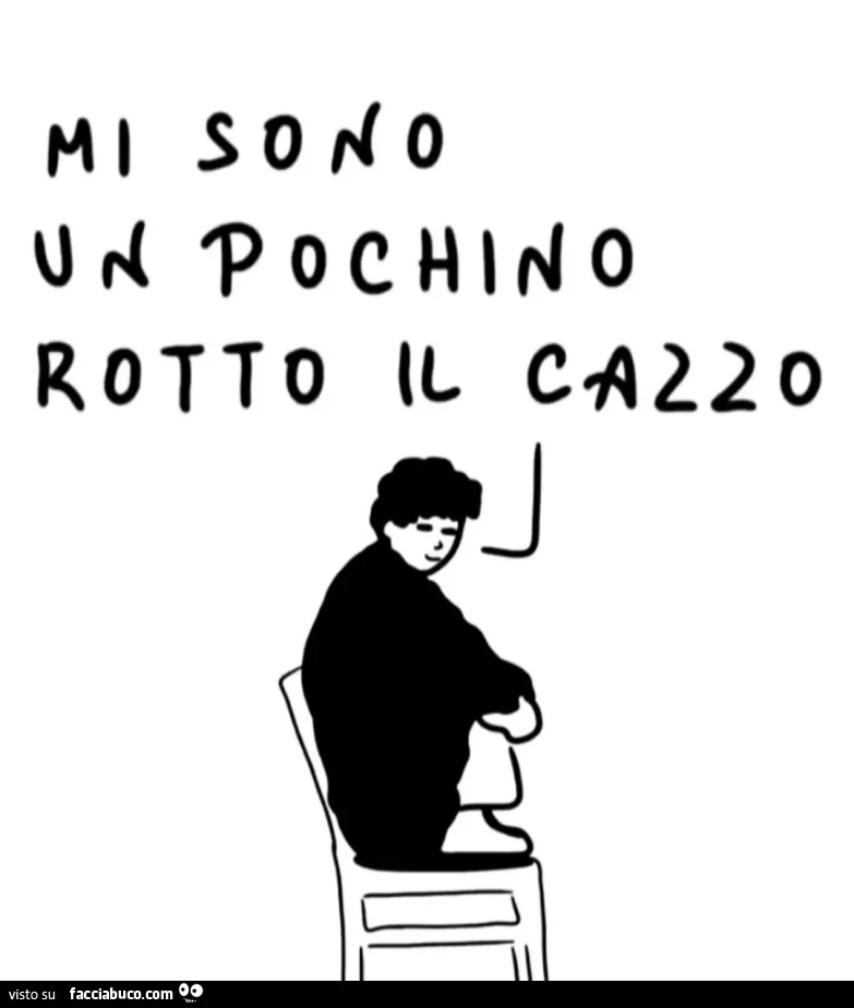Mi sono un pochino rotto il cazzo