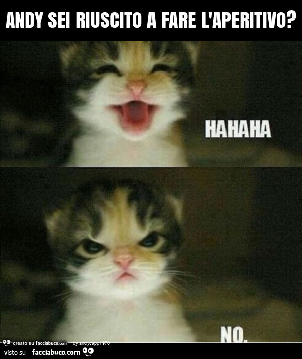 Andy sei riuscito a fare l'aperitivo?