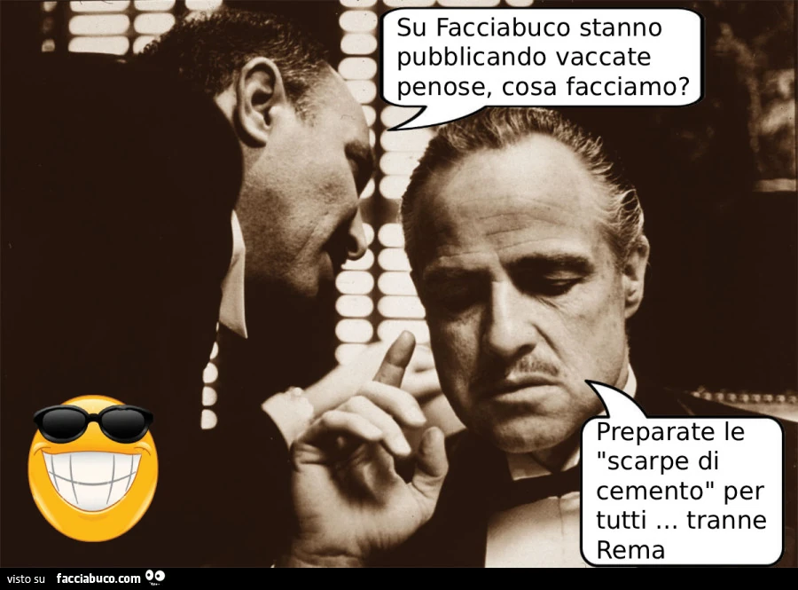 Vaccata
