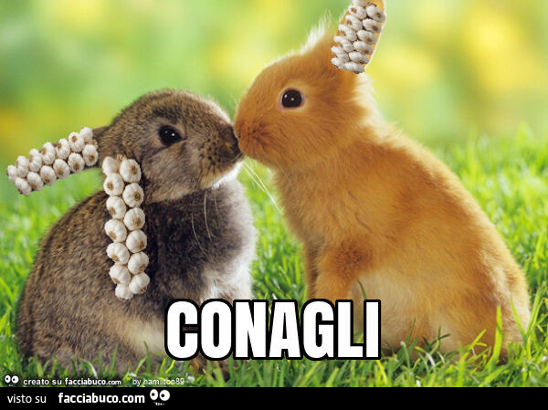 Conagli