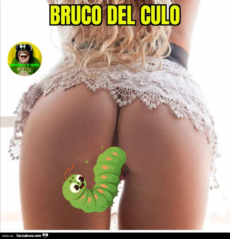 Bruco del culo
