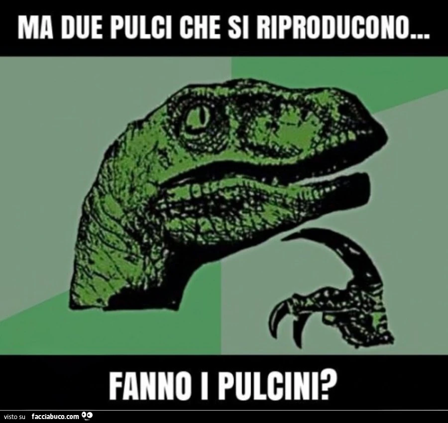 Pulci