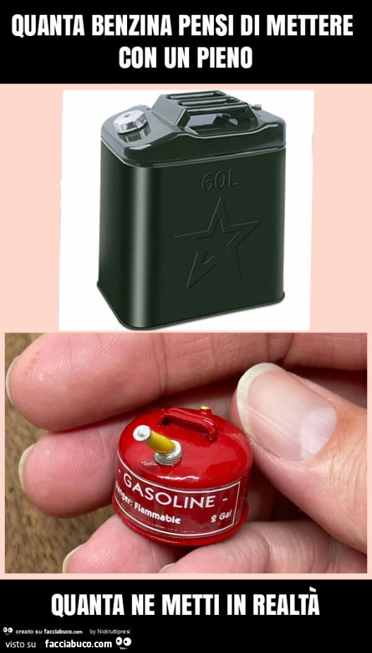 Vaccata