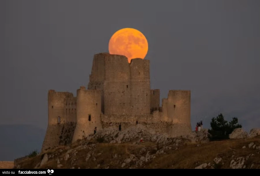 'Notte