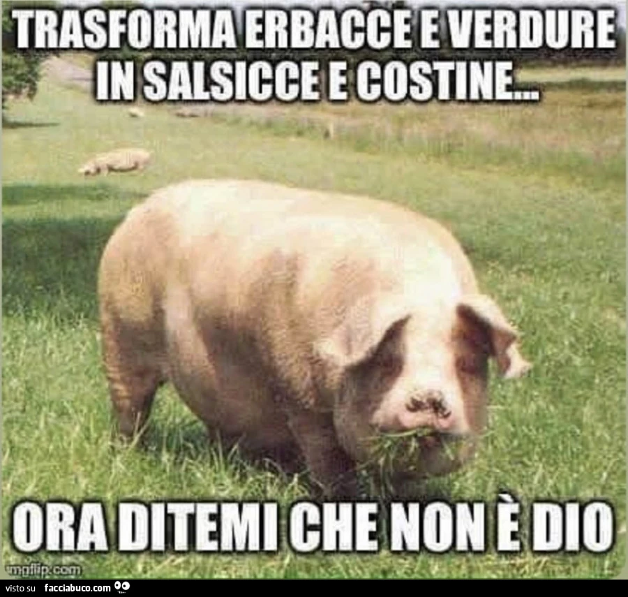 Vaccata