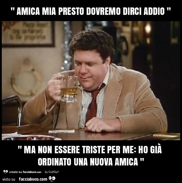 " amica mia presto dovremo dirci addio " " ma non essere triste per me: ho già ordinato una nuova amica "