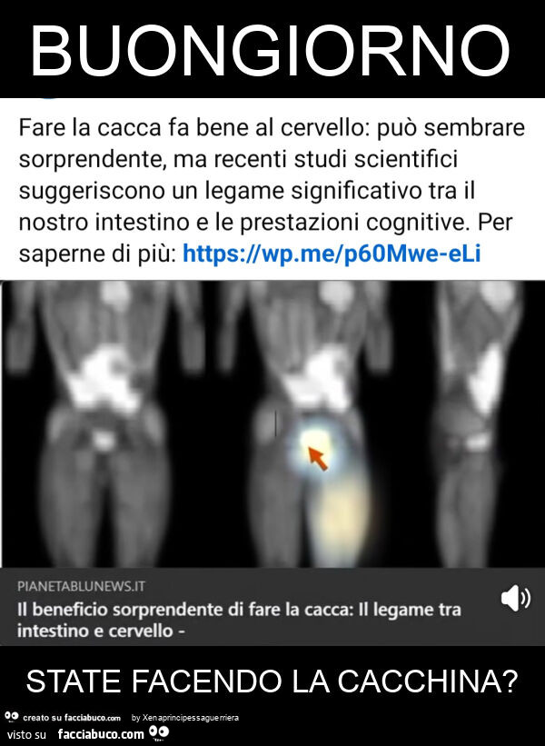 Buongiorno state facendo la cacchina?