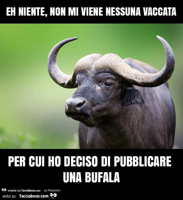 Eh niente, non mi viene nessuna vaccata per cui ho deciso di pubblicare una bufala