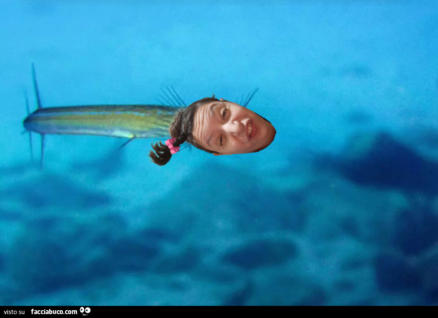 Pesce Flauto
